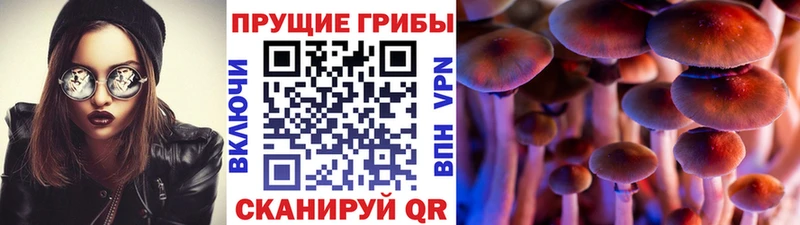 МЕГА ONION  Чистополь  Галлюциногенные грибы GOLDEN TEACHER 
